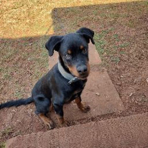 Meet your Posher, Johnathan